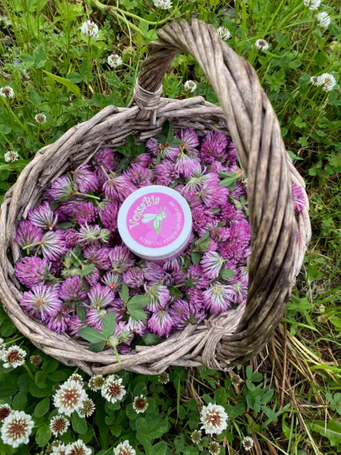 Hovedbilde Rose og rødkløverskrubb til ansikt